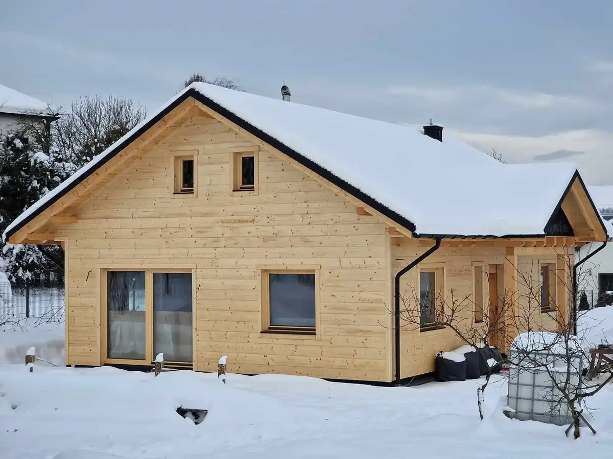 Holz100